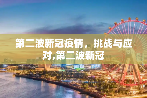 第二波新冠疫情，挑战与应对,第二波新冠