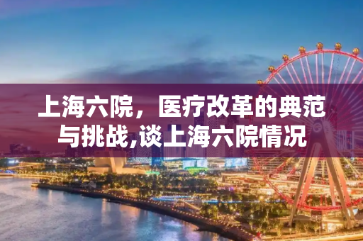 上海六院，医疗改革的典范与挑战,谈上海六院情况