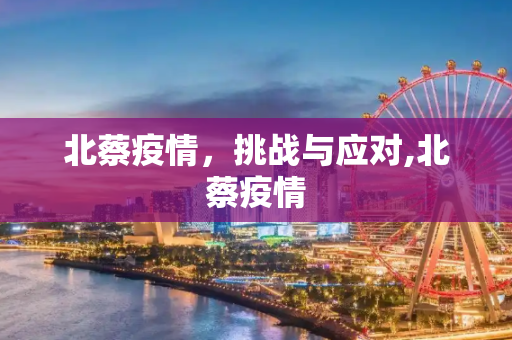 北蔡疫情，挑战与应对,北蔡疫情