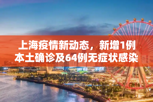 上海疫情新动态，新增1例本土确诊及64例无症状感染者,包含上海新增1例本土确诊64例无症状的词条