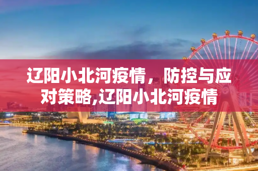 辽阳小北河疫情，防控与应对策略,辽阳小北河疫情