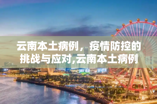 云南本土病例，疫情防控的挑战与应对,云南本土病例