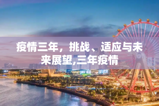疫情三年，挑战、适应与未来展望,三年疫情