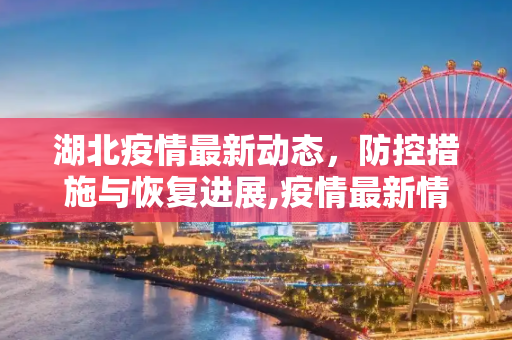 湖北疫情最新动态，防控措施与恢复进展,疫情最新情况湖北