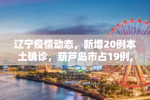 辽宁疫情动态，新增20例本土确诊，葫芦岛市占19例,辽宁新增20例本土确诊葫芦岛19例
