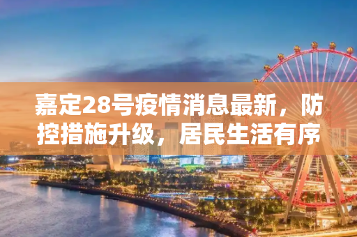嘉定28号疫情消息最新，防控措施升级，居民生活有序,嘉定28号疫情消息最新