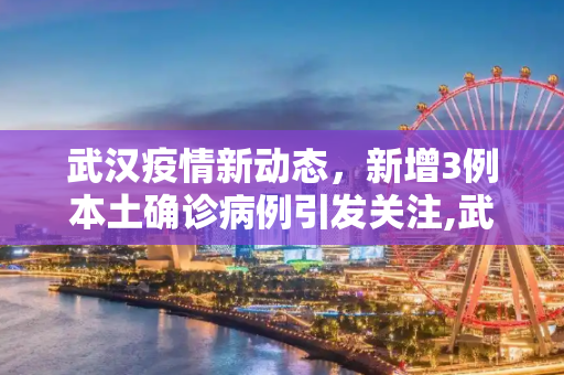 武汉疫情新动态，新增3例本土确诊病例引发关注,武汉新增3例本土确诊