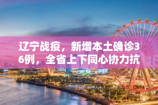 辽宁战疫，新增本土确诊36例，全省上下同心协力抗击疫情,辽宁新增本土确诊36例