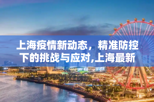 上海疫情新动态，精准防控下的挑战与应对,上海最新的疫情情况