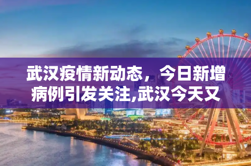 武汉疫情新动态，今日新增病例引发关注,武汉今天又新增了