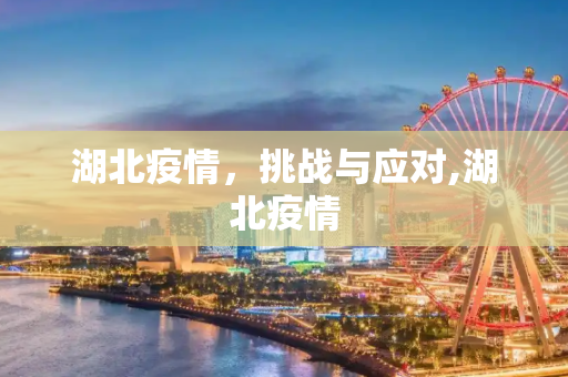 湖北疫情，挑战与应对,湖北疫情