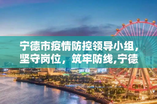 宁德市疫情防控领导小组，坚守岗位，筑牢防线,宁德市疫情防控领导小组