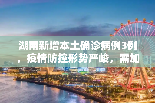 湖南新增本土确诊病例3例，疫情防控形势严峻，需加强防范,湖南新增本土确诊病例3例