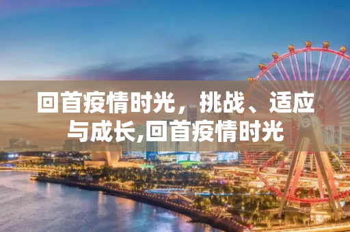 回首疫情时光，挑战、适应与成长,回首疫情时光