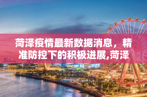 菏泽疫情最新数据消息，精准防控下的积极进展,菏泽疫情最新数据消息