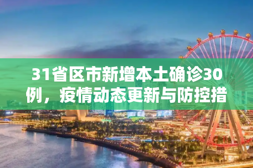 31省区市新增本土确诊30例，疫情动态更新与防控措施,31省区市新增本土确诊30例