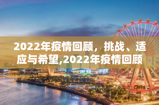 2022年疫情回顾，挑战、适应与希望,2022年疫情回顾