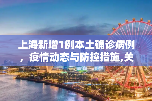 上海新增1例本土确诊病例，疫情动态与防控措施,关于上海新增1例本土确诊病例的信息