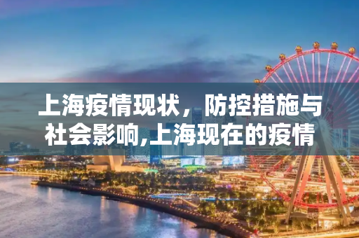 上海疫情现状，防控措施与社会影响,上海现在的疫情情况