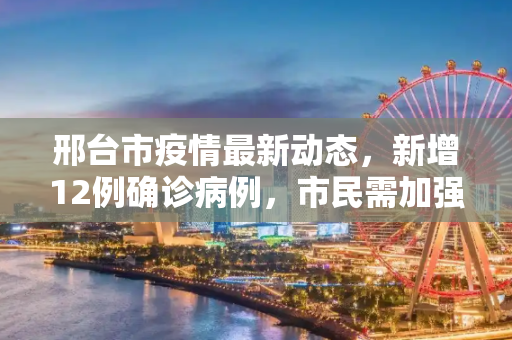 邢台市疫情最新动态，新增12例确诊病例，市民需加强防护,邢台新增12例确诊病例